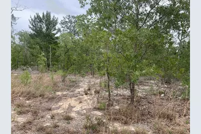 0  Gray St, Interlachen, FL 32148 - Photo 1