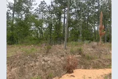 0  Akron St, Interlachen, FL 32148 - Photo 1