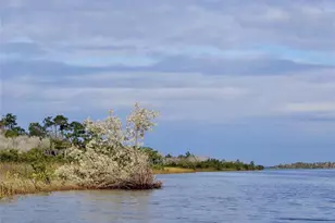 144 Cochise Ct, Palm Coast, FL 32137 - Photo 77