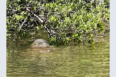 144  Cochise Ct, Palm Coast, FL 32137 - Photo 69