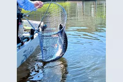 144  Cochise Ct, Palm Coast, FL 32137 - Photo 63