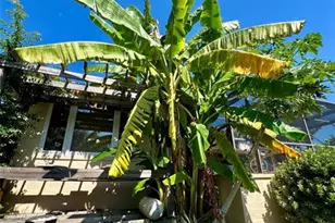 144 Cochise Ct, Palm Coast, FL 32137 - Photo 85