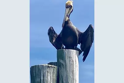 144  Cochise Ct, Palm Coast, FL 32137 - Photo 73