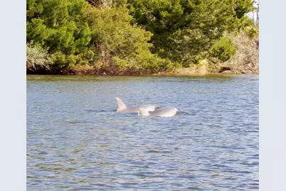 144  Cochise Ct, Palm Coast, FL 32137 - Photo 75