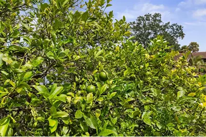 144  Cochise Ct, Palm Coast, FL 32137 - Photo 81