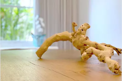 4422  Laurel Pl, Weston, FL 33332 - Photo 13