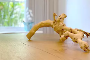 4422 Laurel Pl, Weston, FL 33332 - Photo 13