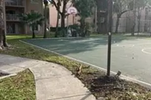 15770 SW 104th Terrace, Miami, FL 33196 - Photo 15