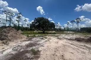 32801 Hwy 441 N Lot 154, Okeechobee, FL 34972 - Photo 5