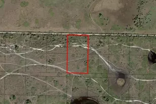 0 NW 320th St, Okeechobee, FL 34972 - Photo 3