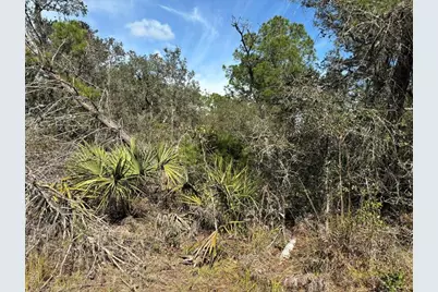 0  Jackson St, Lake Wales, FL 33898 - Photo 1