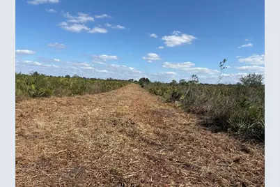 0 NW 316th St, Okeechobee, FL 34972 - Photo 3