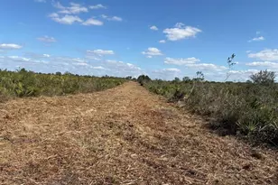 0 NW 316th St, Okeechobee, FL 34972 - Photo 3