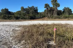 0 NW 296th St, Okeechobee, FL 34972 - Photo 3