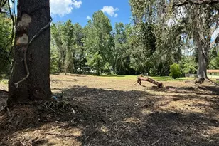 0 NE Katrina Gln, Lake City, FL 32055 - Photo 11