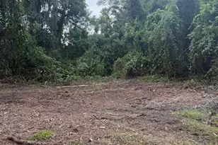 0 NE Katrina Gln, Lake City, FL 32055 - Photo 13