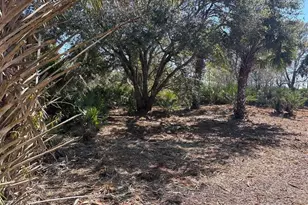 0 NW 304th St, Okeechobee, FL 34972 - Photo 3