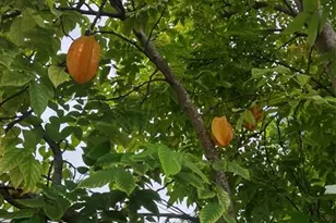 128 Miami Gardens Rd, West Park, FL 33023 - Photo 37