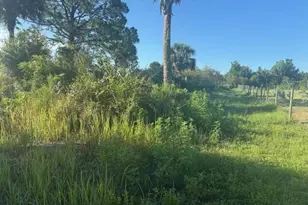 19216 NW 300th St, Okeechobee, FL 34972 - Photo 3