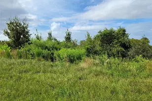 17275 NW 260th St, Okeechobee, FL 34972 - Photo 3