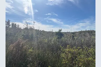 15893 NW 302nd St, Okeechobee, FL 34972 - Photo 1