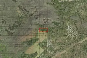 0 Holopaw Groves Rd, Saint Cloud, FL 34772 - Photo 3