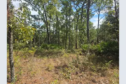 7441 N June Ter, Citrus Springs, FL 34434 - Photo 5