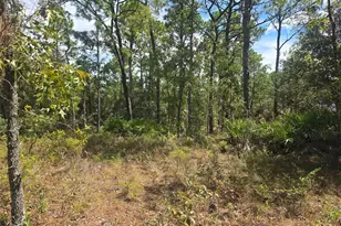 7441 N June Terrace, Citrus Springs, FL 34434 - Photo 5