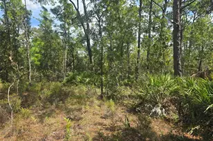 7441 N June Terrace, Citrus Springs, FL 34434 - Photo 3