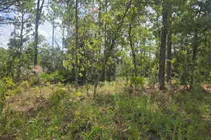 7441 N June Terrace, Citrus Springs, FL 34434 - Photo 7