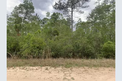 0 W Basford St, Interlachen, FL 32148 - Photo 1