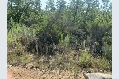 214  Marion Trail, Interlachen, FL 32148 - Photo 1