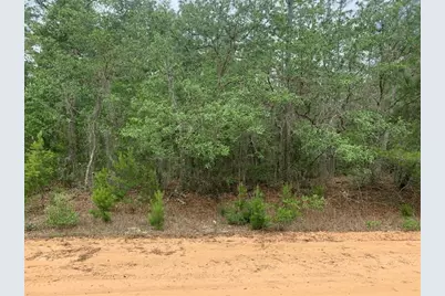 0  David Ave, Interlachen, FL 32148 - Photo 1