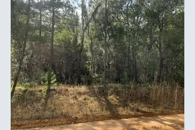 0  Shappell Ave, Interlachen, FL 32148 - Photo 1