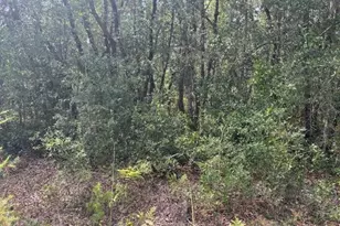 0 Gray St, Interlachen, FL 32148 - Photo 3