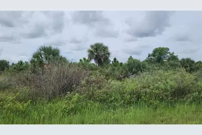 14988 NW 316th St, Okeechobee, FL 34972 - Photo 3