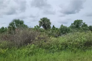 14988 NW 316th St, Okeechobee, FL 34972 - Photo 3