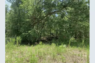 0  Oklahoma Ave, Satsuma, FL 32189 - Photo 1