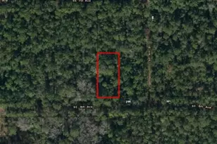 224 SE 8th Ave, Palatka, FL 32177 - Photo 3