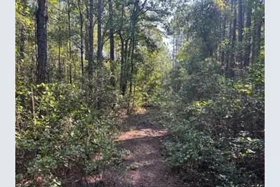 224 SE 8th Ave, Palatka, FL 32177 - Photo 1