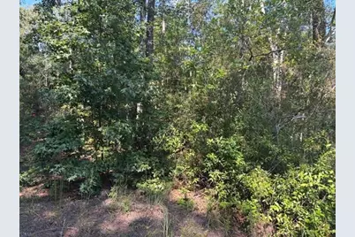 0 SE 8th Ave, Palatka, FL 32177 - Photo 1