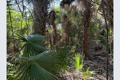 3223 SW Mockingbird Ave, Palm Bay, FL 32908 - Photo 3