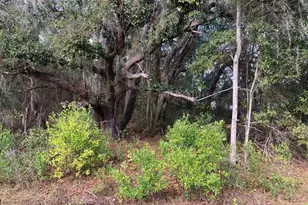 0 SW 30th Pl, Ocala, FL 34481 - Photo 3