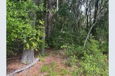 0 SW 30th Place, Ocala, FL 34481 - Photo 1