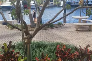 815 Middle River Dr, Fort Lauderdale, FL 33304 - Photo 5