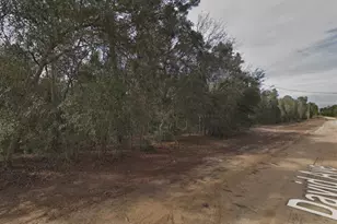 917 David Ave, Other City - In The State Of Florida, FL 32148 - Photo 3