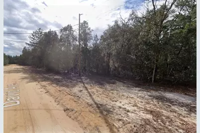 917  David Ave, Other City - In The State Of Florida, FL 32148 - Photo 5