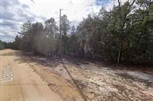 917 David Ave, Other City - In The State Of Florida, FL 32148 - Photo 5