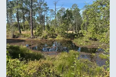 1400  12th Ave, Deland, FL 32724 - Photo 3