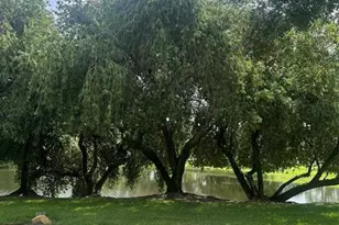 1192 NW Lombardy Dr, Port Saint Lucie, FL 34986 - Photo 15